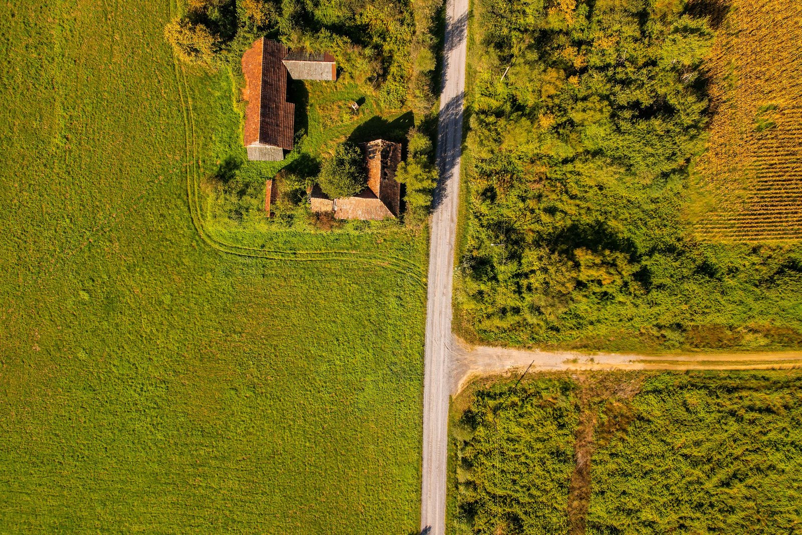 Aerial view of agricultural land parcels showing property boundaries for boundary survey article